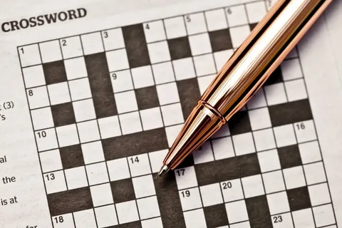 silly mistake crossword