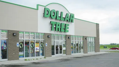 dollar tree